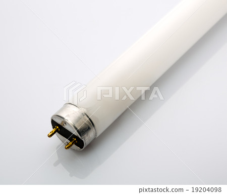 Fluorescent lamp on white 19204098