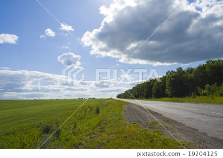 Green grass, road and blue sky 19204125
