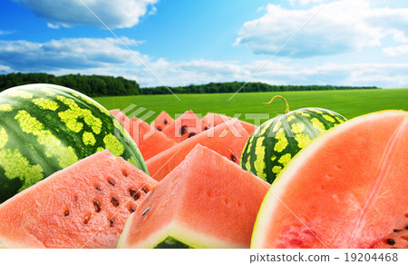 Heap of watermelon Heap of watermelon 19204468