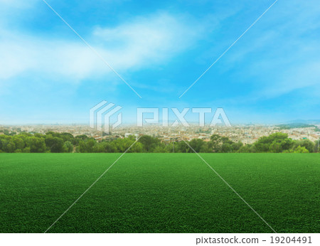 Panoramic view of a meadow against cityscape 19204491