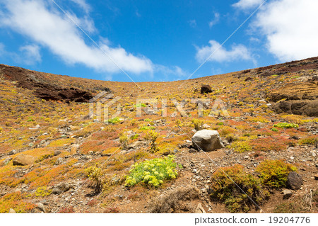 Rocky hills Rocky hills 19204776