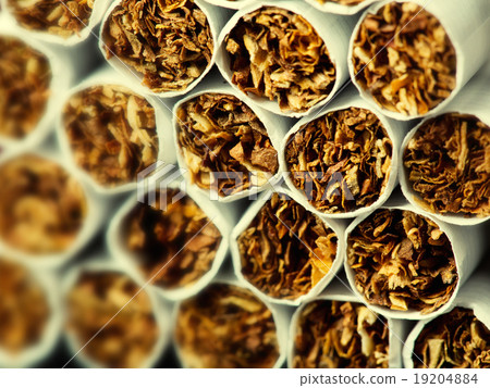 Cigarettes in pack Cigarettes in pack 19204884