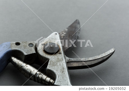 Pruner on grey 19205032