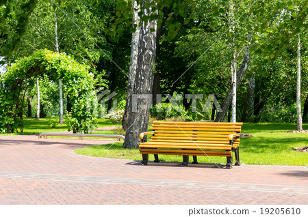 Bench in the local park Bench in the local park 19205610