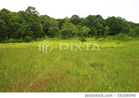 Komadoshitsugen 19206040