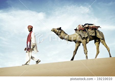 Indigenous Indian man walking desert camel Concept 19210010