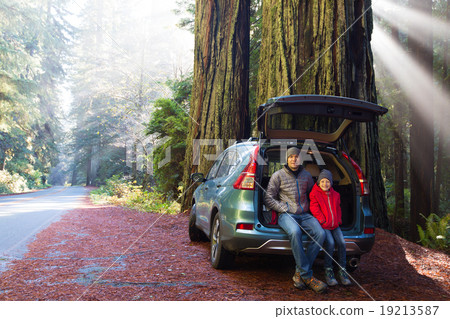 family in redwood forest family in redwood forest 19213587