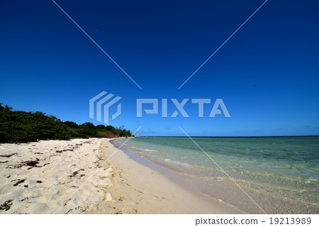 藍色的海 藍色的海 19213989