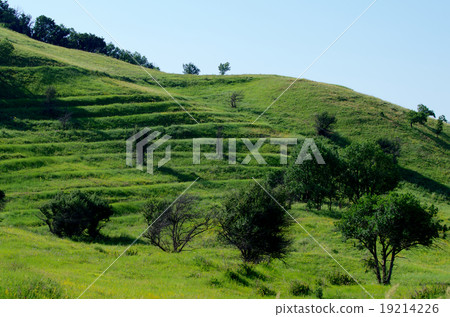 Green Sunny Day Green Sunny Day 19214226