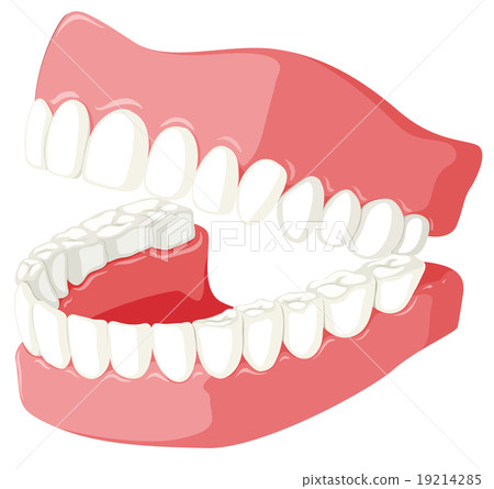 Dental theme with teeth model 19214285