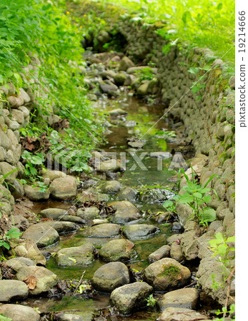 Park Brook Park Brook 19214666