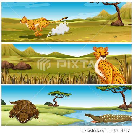 Wild animals in the field 19214707