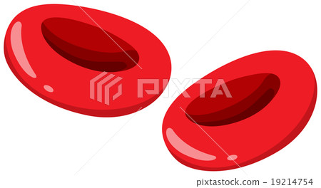 Close up red blood cells 19214754