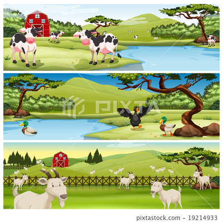 Farm animals living on farm Farm animals living on farm 19214933