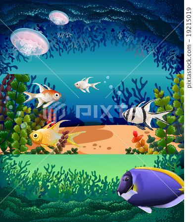 Fish swimming under the ocean 19215019