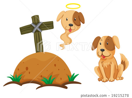 Dog sitting by the graveyard Dog sitting by the graveyard 19215278