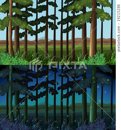 Forest scene at day time and night time Forest scene at day time and night time 19215286
