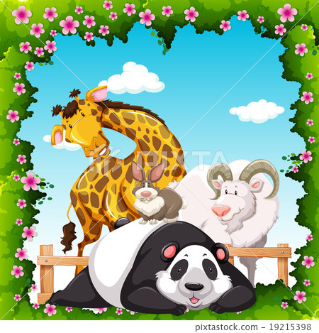 Wild animals in the garden 19215398