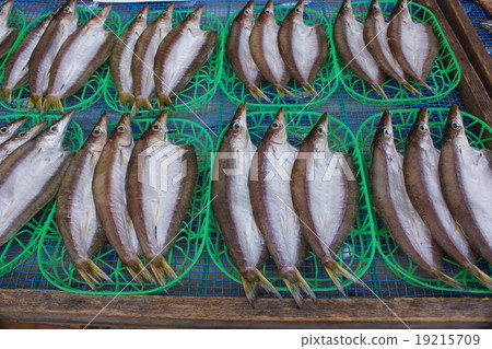 Camomus Dried Fish 19215709