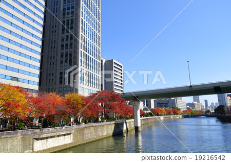 大阪中之島周圍的風景 大阪中之島周圍的風景 19216542