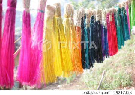 selected focus line up of colored sedge 19217338