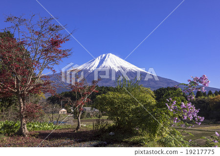  富士山和富士山 19217775