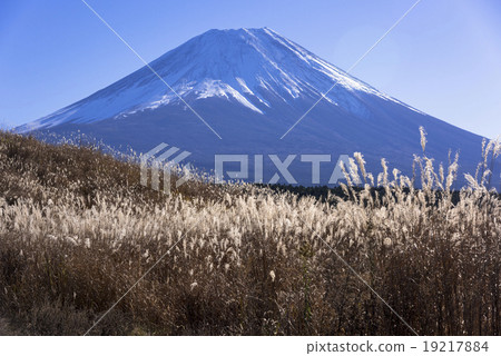 Susukihara and Mt. Fuji in Asagirikogen 19217884