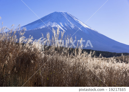 Susukihara and Mt. Fuji in Asagirikogen Susukihara and Mt. Fuji in Asagirikogen 19217885