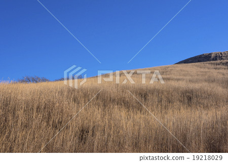 Panoramic view of Suzukihara 19218029