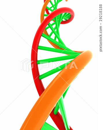 DNA structure model on white 19218188