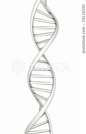 DNA structure model on white 19218200