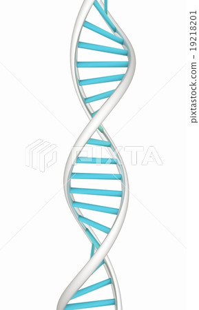 DNA structure model on white 19218201
