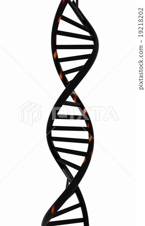 DNA structure model on white 19218202