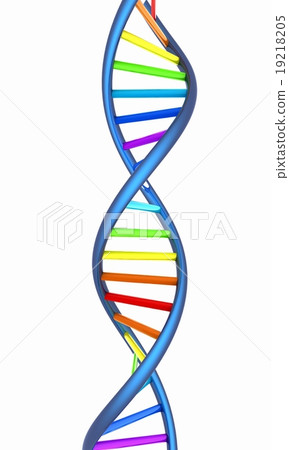 DNA structure model on white DNA structure model on white 19218205