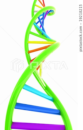 DNA structure model on white 19218215