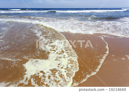 Coastline in the Namib desert 19218689
