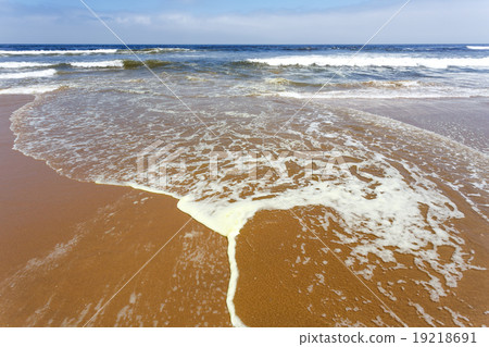 Coastline in the Namib desert 19218691