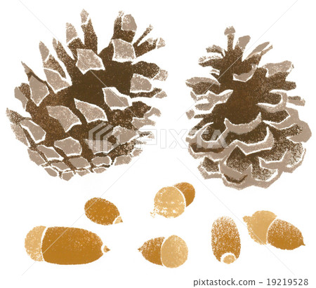 手繪插圖·松果和橡子 手繪插圖·松果和橡子 19219528