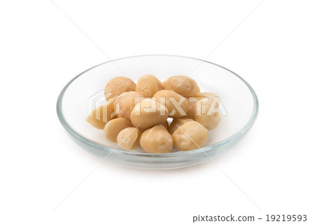 Macadamia nut Macadamia nut 19219593