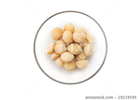 Macadamia nut 19219595