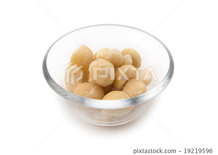 Macadamia nut 19219596