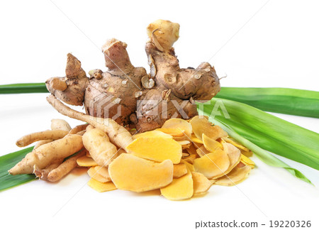 Cassumunar ginger, Herbal. Cassumunar ginger, Herbal. 19220326