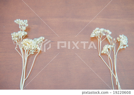 Wood texture background with dried flower  19220608