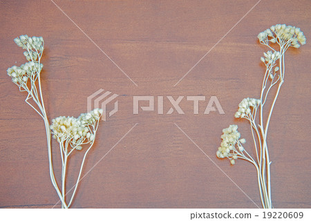 Wood texture background with dried flower 19220609