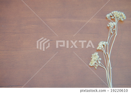 Wood texture background with dried flower 19220610