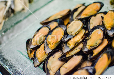 Fresh mussels on ice tray for catering buffet 19220642