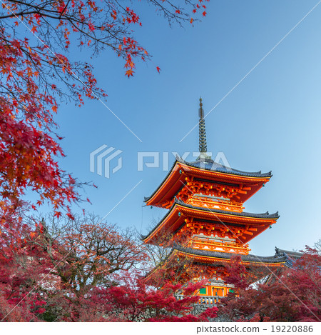 Kiyomizu寺在秋天 Kiyomizu寺在秋天 19220886