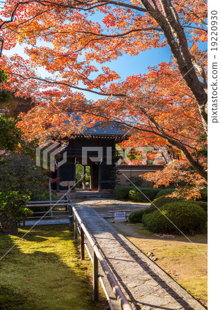 Autumn's Genkoan Autumn's Genkoan 19220930
