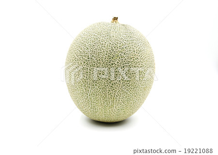 Green Melon isolated on white background Green Melon isolated on white background 19221088