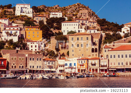 Hydra Hydra 19223113